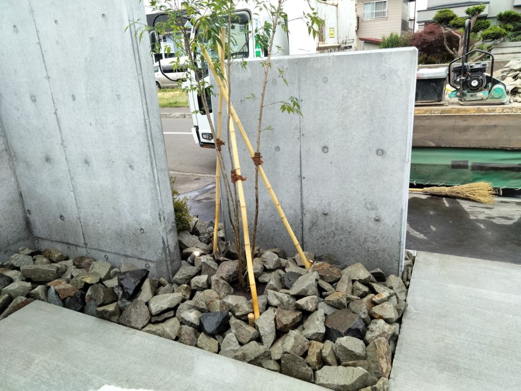 札幌　外構　樹木