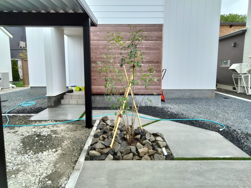 札幌　外構　樹木